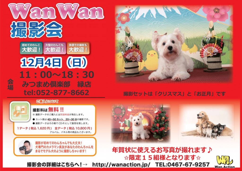 12-4%e3%81%bf%e3%81%a4%e3%81%be%e3%82%81%e3%80%80%e7%b7%91